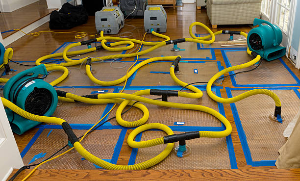 Professional Structural Drying And Dehumidification technician working in Elgin, IL